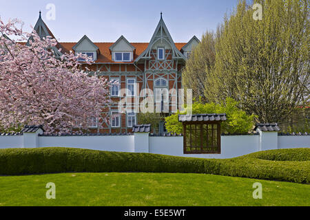 Giardino giapponese a Bad Langensalza, Germania Foto Stock