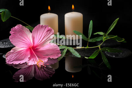 Bella spa concept di hibiscus, passiflora viticcio, candele e pietre zen con gocce in acqua di riflessione, primo piano Foto Stock