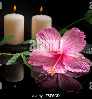 Bella spa concept di hibiscus, passiflora viticcio, candele e pietre zen con gocce in acqua di riflessione, primo piano Foto Stock