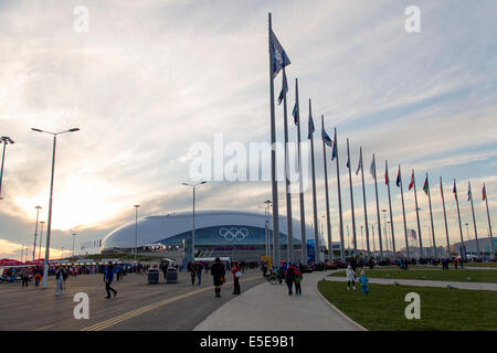 Bolshoy Cupola di ghiaccio, i Giochi Olimpici Invernali, Sochi 2014 Foto Stock