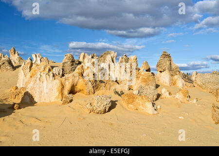 Vista del Deserto Pinnacles nel Numbung National Park, Australia Foto Stock