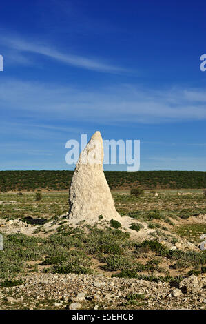 Termite mound, il Parco Nazionale di Etosha, Namibia Foto Stock