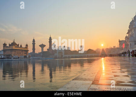 Il Tempio d'oro di Amritsar Punjab, India Foto Stock