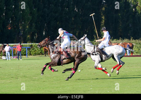 Francia, basse Normandie, calvados, cote fleurie, deauville, polo, sport Cheval, concorso barrière Golden, polo coppa, ippodromo, Foto Stock