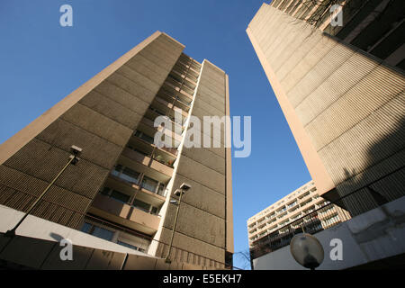 Francia, parigi 13e, quartier chinois, tour, gratte ciel, immeuble, rue nationale Foto Stock