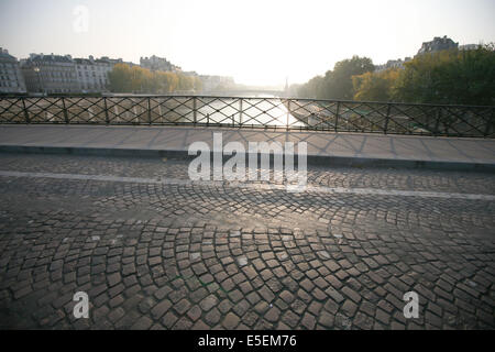 Francia, parigi 4e, ile de la CITE, la seine, rue Pavee, pont de l'archeveche, Foto Stock