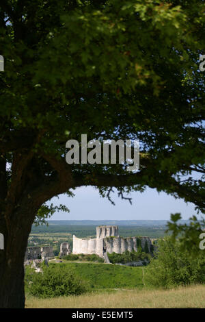 Francia, Haute Normandie, vallee de la seine, eure, les andelys, Chateau gaillard, vestige, richard coeur de Lion, arbre, Foto Stock