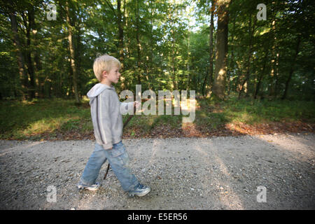 Francia, Normandia, senna marittima, Pays de bray, les ventes saint remy, le chemin des ecoliers, foret, enfant 6 ans marchant, personnage autorise, Foto Stock