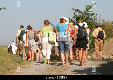 Francia, basse Normandie, manche, baie du Mont-Saint-Michel, a proximite de la maison de la Baie de Vains, traversate, randonnee, groupe de touristes, Pelerinage, Foto Stock