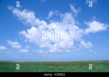 Francia, Bretagne, ille et vilaine, Pays de la baie du Mont-Saint-Michel, cherrueix ciel de la baie, nuages, Foto Stock