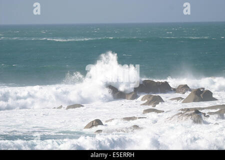 Francia, Bretagne, finistere nord, Pays du leon, ile de Batz, faccia a roscoff, cote ouest, vagues s'ecrasant sur les rochers, forte houle, ecume, tempete, Foto Stock