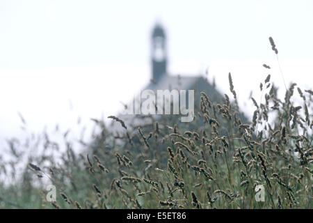 Francia, Bretagne, finistere sud, cap sizun, pointe du van, chapelle saint loro, herbes hautes, Foto Stock