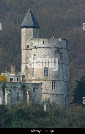 Francia, Haute Normandie, senna marittima, valee de la seine, Tancarville, vestiges du Chateau de Tancarville, tour, tourelle accolee, Foto Stock