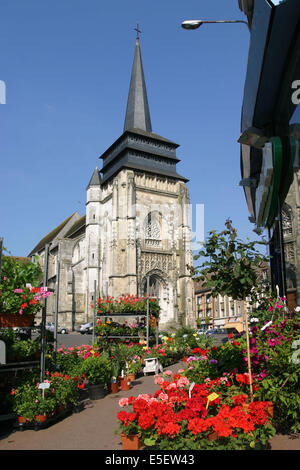 Francia, Haute Normandie, seine Maritime, Pays de bray, neufchatel en bray, eglise notre dame, etal de fleuriste, Foto Stock