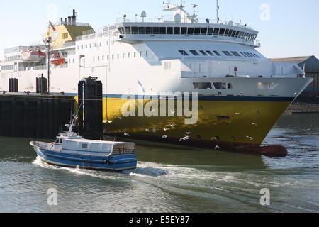 Francia, regione nord, pas de calais, boulogne sur mer, porto, traghetto auto cote d'albatre, traghetti tranmanche, LD Lines, mer du nord, liaison boulogne douvres, calutier, retour de peche, goelands, mouettes, Foto Stock