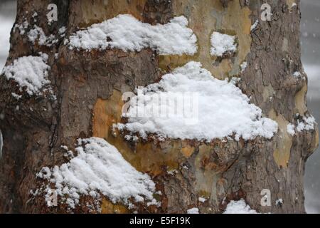 Paris sous la neige Foto Stock