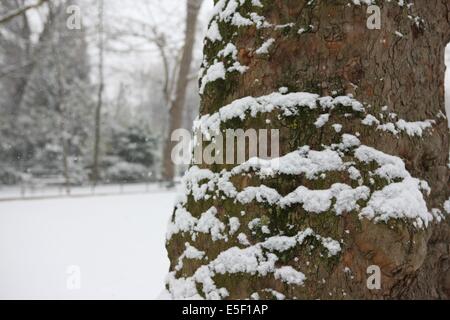 Paris sous la neige Foto Stock