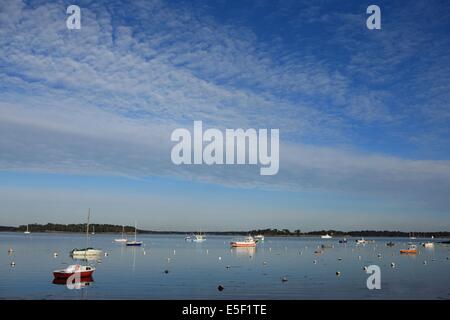 Francia, Bretagne, morbihan, golfe du morbihan, locmariaquer, mer, eau, bateaux, naires, voiliers, villaggio, porto, Foto Stock