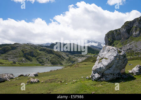 Il lago Ercina, con cantabrici in background, Parco Nazionale Picos de Europa Asturias, Spagna, Europa Foto Stock
