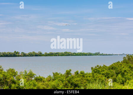 Delta del Po / Po di Maistra / Il Delta del Po / il Po di Maistra, Delta del Po Foto Stock