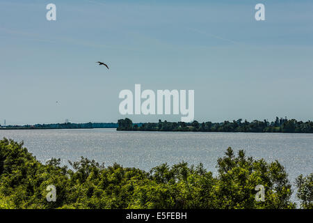 Delta del Po / Po di Maistra / Il Delta del Po / il Po di Maistra Foto Stock