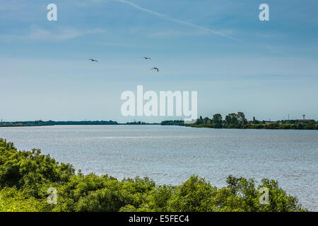 Delta del Po / Po di Maistra / Il Delta del Po / il Po di Maistra Foto Stock