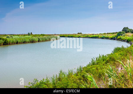 Delta del Po / Boccasette / Po di Maistra / Il Delta del Po / il Po di Maistra Foto Stock