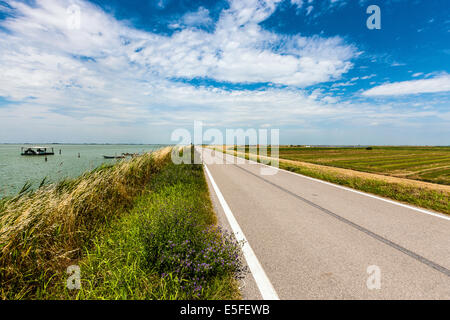 Delta del Po / Dintorni di Barricata / Il Delta del Po / Dintorni della barricata Foto Stock