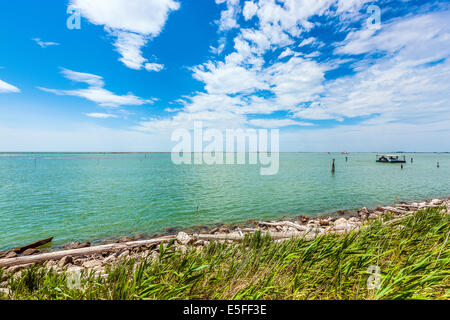 Delta del Po / Sacca degli Scardovari / Il Delta del Po Foto Stock