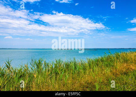 Delta del Po / Sacca degli Scardovari / Il Delta del Po Foto Stock