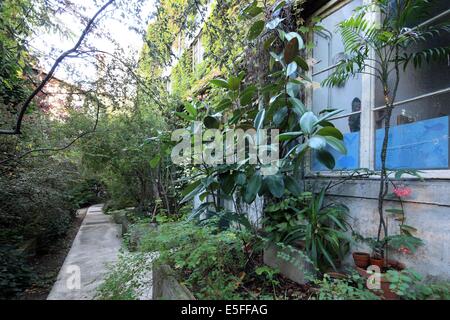 Francia, regione Ile de France, Parigi 15e arrondissement, passage de dantzig, ruche, ateliers, artistes, Foto Stock