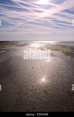 Worthing Sussex, Regno Unito. Il 30 luglio, 2014. Sentieri di vapore attraversano il cielo in Worthing a bassa marea sulla spiaggia come questa mattina la calda estate meteo continua lungo la costa meridionale della Gran Bretagna Foto Stock