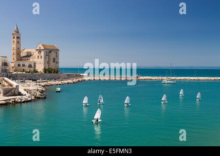 Scuola di vela in porto con la Cattedrale di Trani, XI secolo, Trani, provincia di bari, puglia, Italia Foto Stock