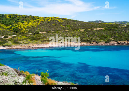 Mare blu nell' isola dell'Asinara in Sardegna, Italia Foto Stock