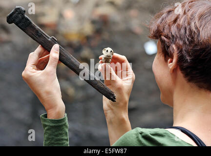 Leipzig, Germania. Il 30 luglio, 2014. Scavare leader Petra Schug guarda una spada in legno per bambini e una figura scolpita da tra 1200 e 1350 a Katharinenhof a Leipzig, Germania, 30 luglio 2014. Durante i lavori di ristrutturazione del barocco archeologi Buergerhof esaminare il cortile. 150 trova fino a 800 anni vecchio punto di Forerunner edifici del Rinascimento e del Medioevo presso il sito. Leipzig celebra il millesimo anniversario della sua prima menzione. Foto: Jan Woitas/dpa/Alamy Live News Foto Stock