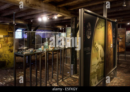 La Prima guerra mondiale museo sull esercito britannico vita a Talbot House in Poperinge, Fiandre Occidentali, Belgio Foto Stock