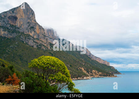 Trekking lungo la costa forma Pedra Longa, Baunei, Sardegna, Italia Foto Stock