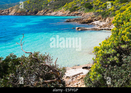 Mare blu nell' isola dell'Asinara in Sardegna, Italia Foto Stock