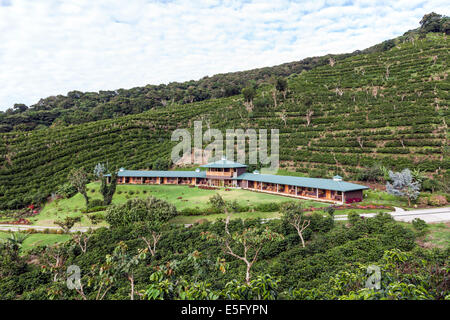 Hotel Finca Lerida piantagione di caffè e Boutique Hotel. Boquete Foto Stock