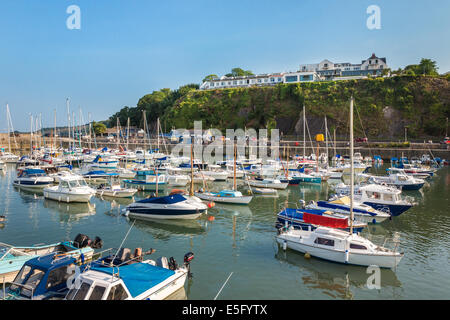 Saundersfoot marina e porto pieno di barche con St Brides Bay Hotel sulla rupe, Pembrokeshire, Wales, Regno Unito Foto Stock