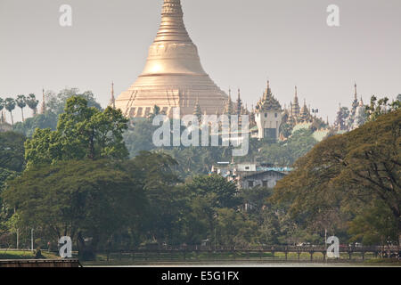 Lago Kandawgyi con la Shwedagon pagoda in distanza, Yangon, Myanmar (Birmania) Foto Stock