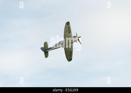 Hawker Sea Fury in volo Foto Stock