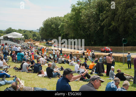 Gli spettatori a Goodwood Festival della velocità, estate 2014. Foto Stock