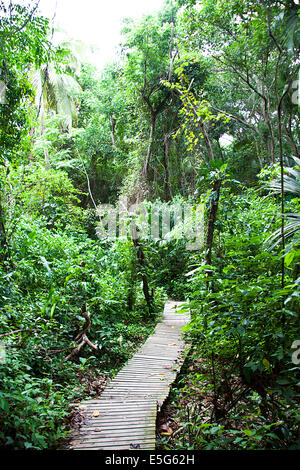 Il Parco Nazionale Tayrona è situato nella regione dei Caraibi in Colombia. La sua area è parte del dipartimento di Magdalena. Un 3 Foto Stock