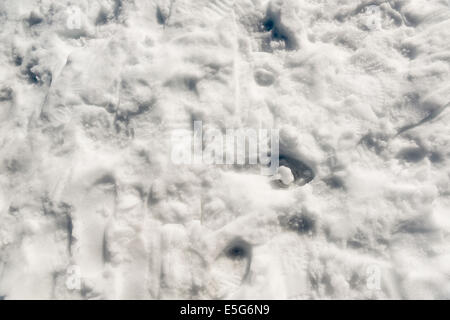 Footprint e bootprints nella neve di andare in tutte le direzioni Foto Stock