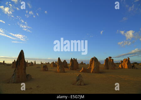 Il Deserto Pinnacles nel Nambung National Park nei pressi di Cervantes, Western Australia. Foto Stock