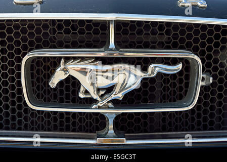 Classico Ford Mustang badge Foto Stock