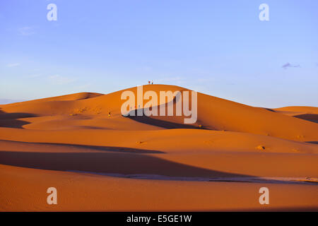 Erg Chegaga o Chigaga,cammelli,guide,Persone escursionismo,Tramonti,Camping,l'esperienza del Sahara, Lusso Tented alloggi,,Zagora,Marocco Foto Stock