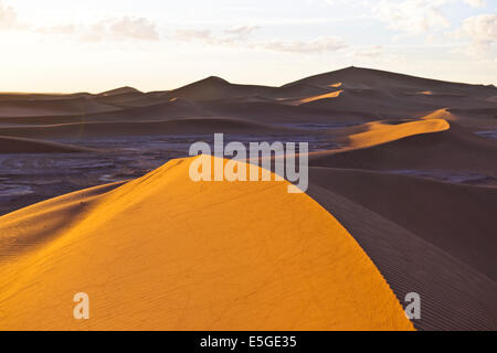 Erg Chegaga o Chigaga,cammelli,guide,Persone escursionismo,Tramonti,Camping,l'esperienza del Sahara, Lusso Tented alloggi,,Zagora,Marocco Foto Stock