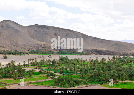 Ch'Gagga deserto 5 ora di auto Amerzgane,4 ruote motrici attraverso Dry Lake Iriki letto matrimoniale,una volta un gigantesco lago,Sahara,Sud Marocco Foto Stock